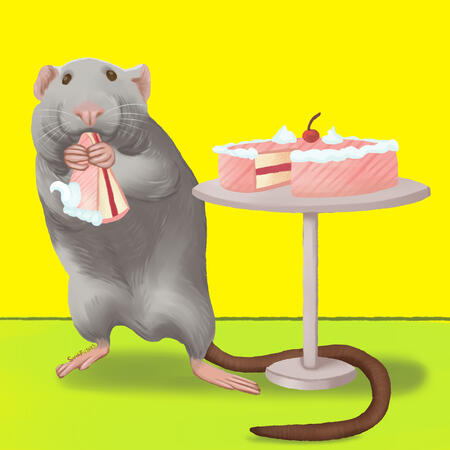 Birthday Rat