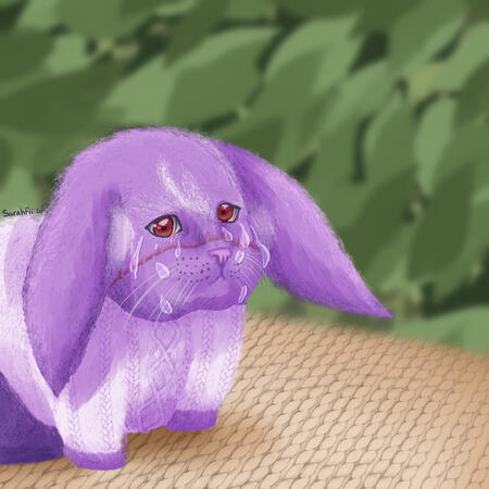 Michi Bunny